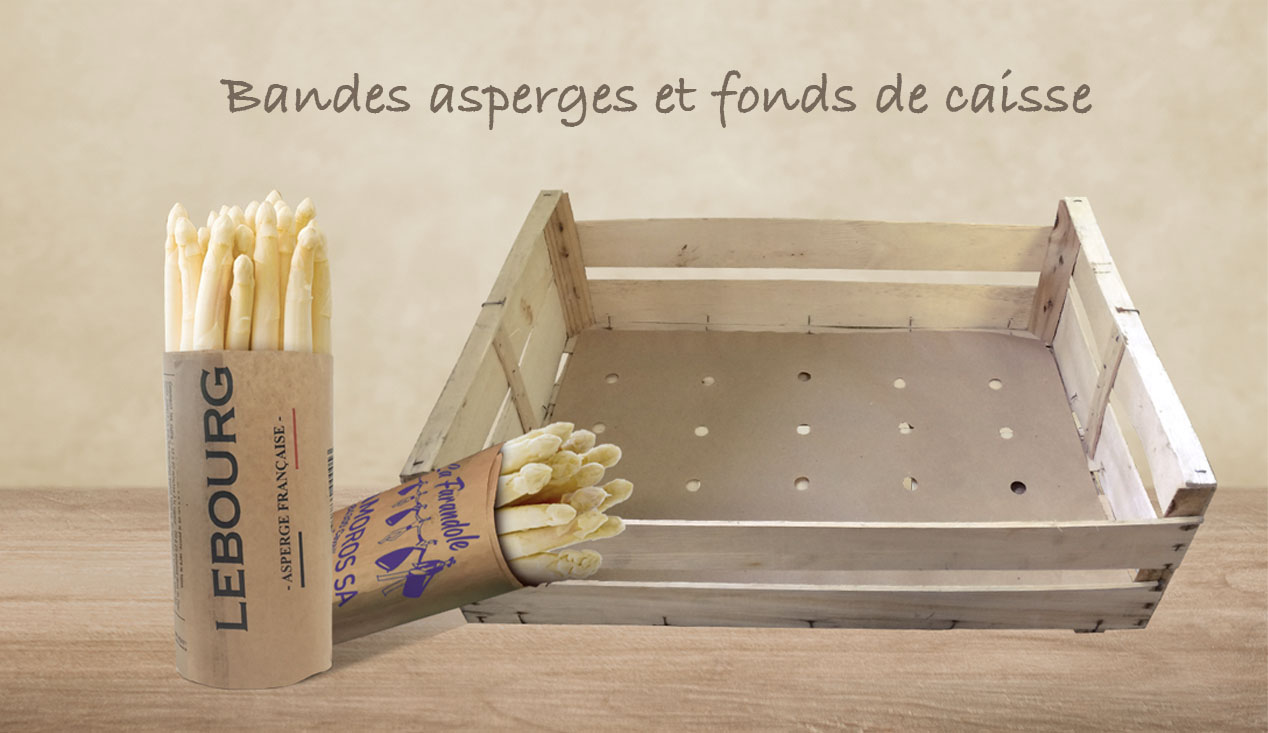 bandes asperges ecoresponsable kraft