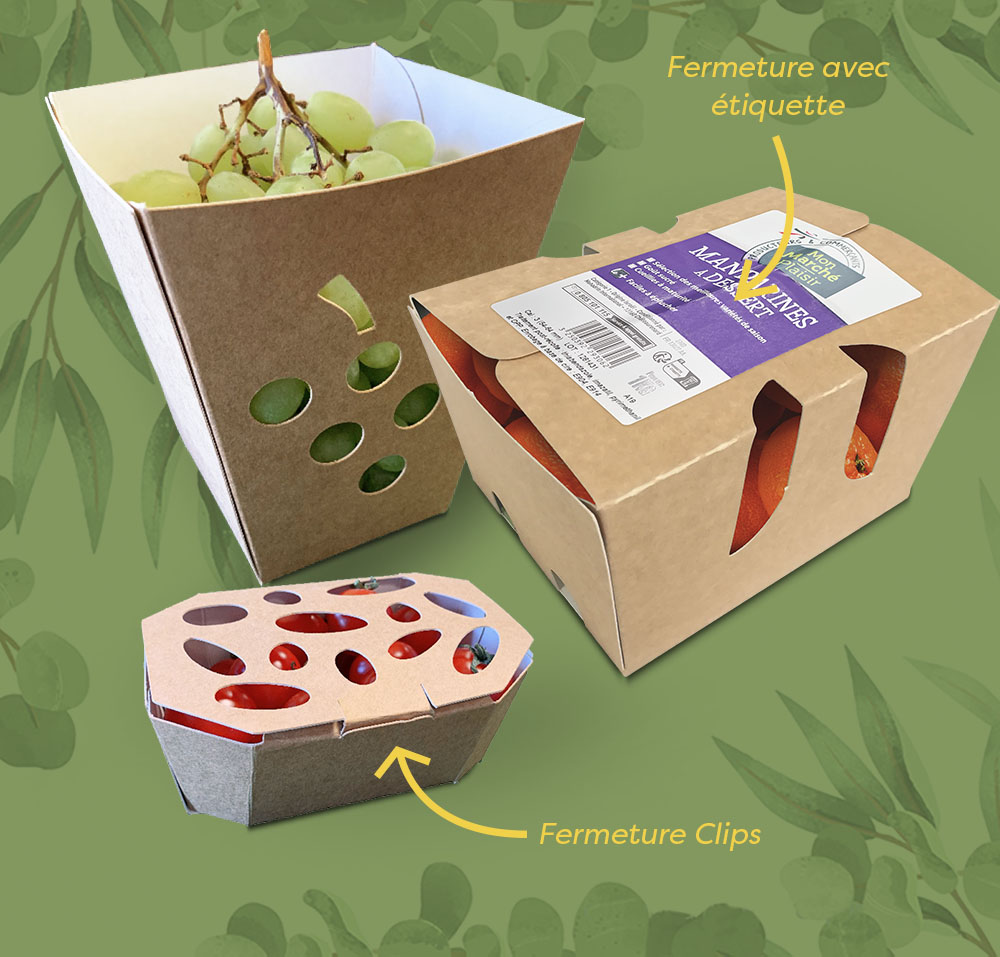 barquette carton ecoresponsable fruits et légumes fermées ou ouverte