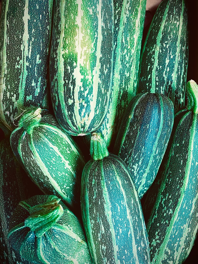 barquette-carton-courgette_maraicher