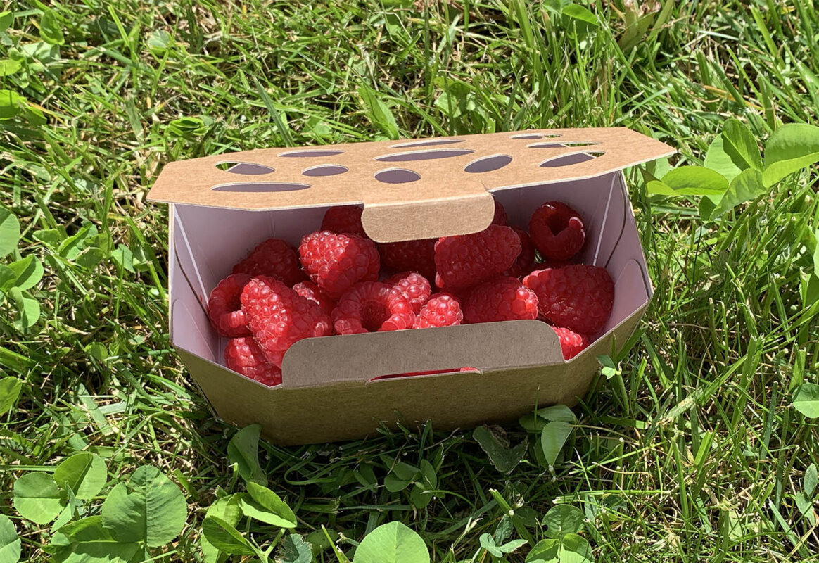 barquette en carton pour framboise