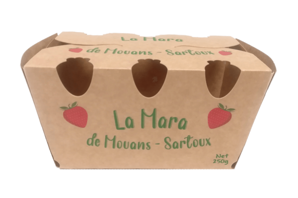 barquette carton ecoresponsable fraise