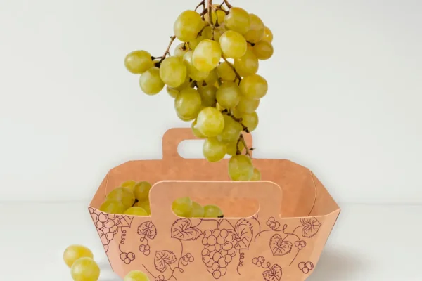 barquette en carton pour vente de raisins barquette en carton pour vente de raisins