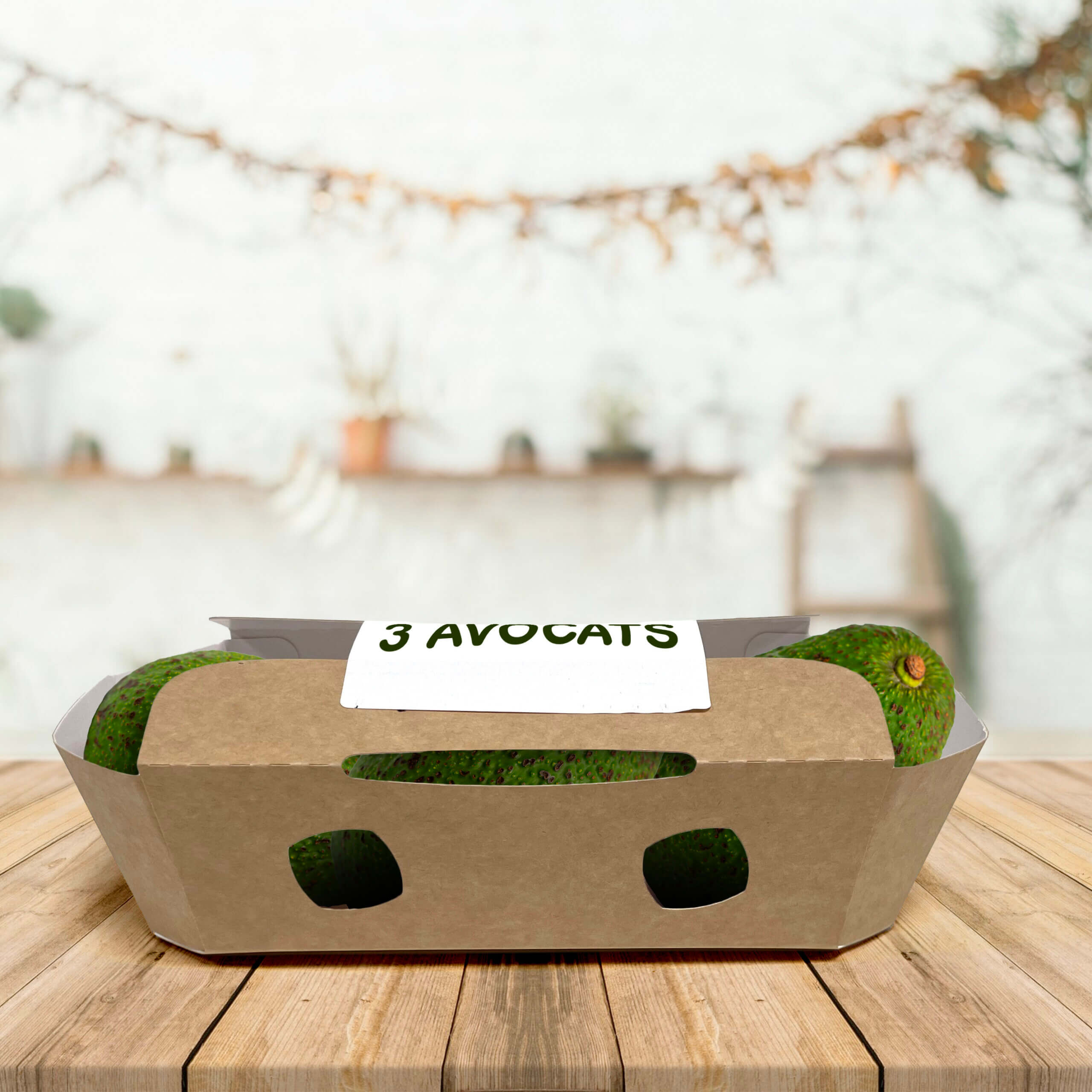 barquette carton kraft pour fruits et légumes avocats
