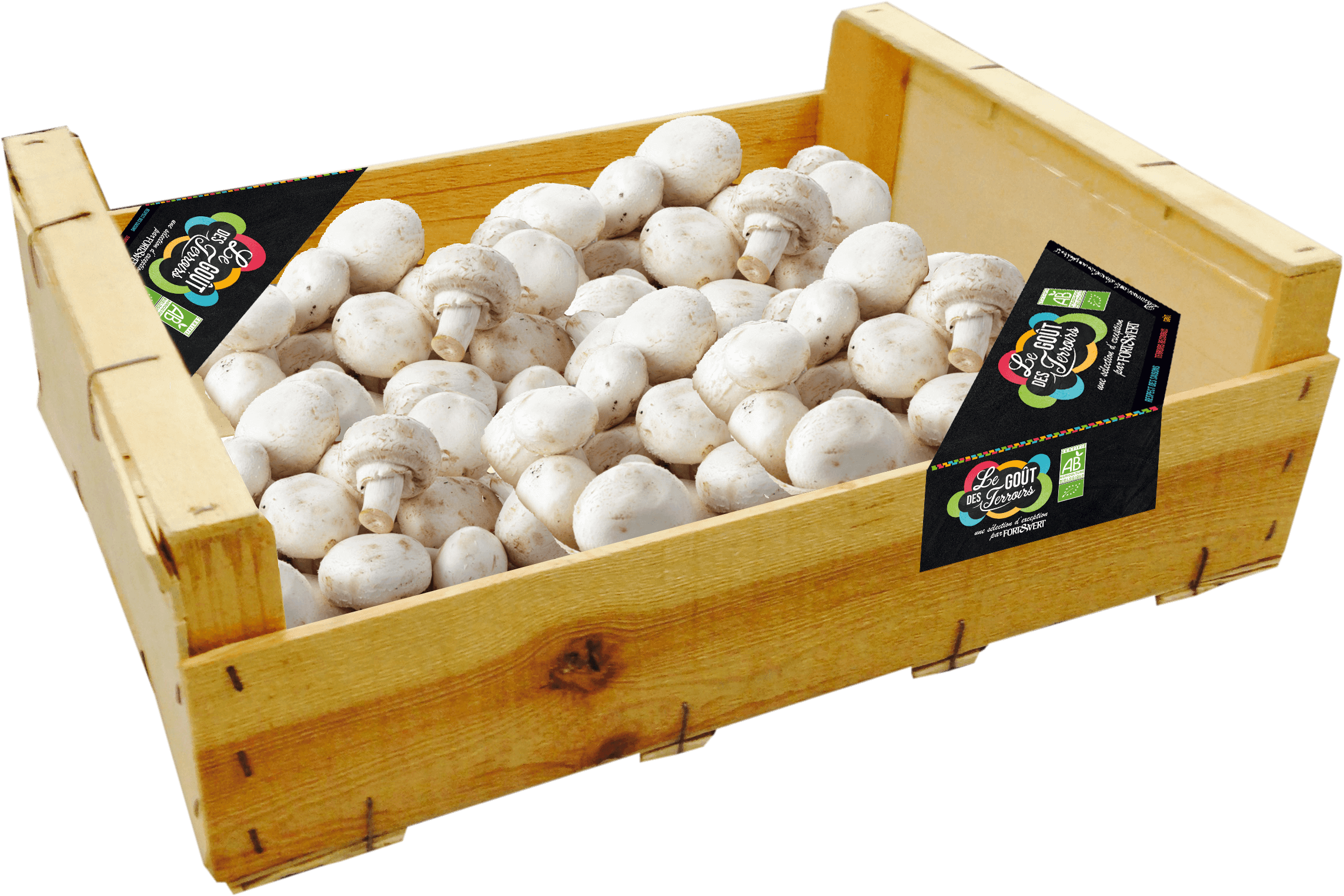 coin plateau pour caisse de champignons