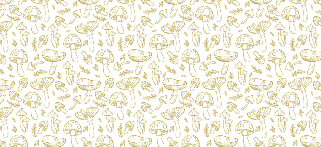 Packaging pour champignon