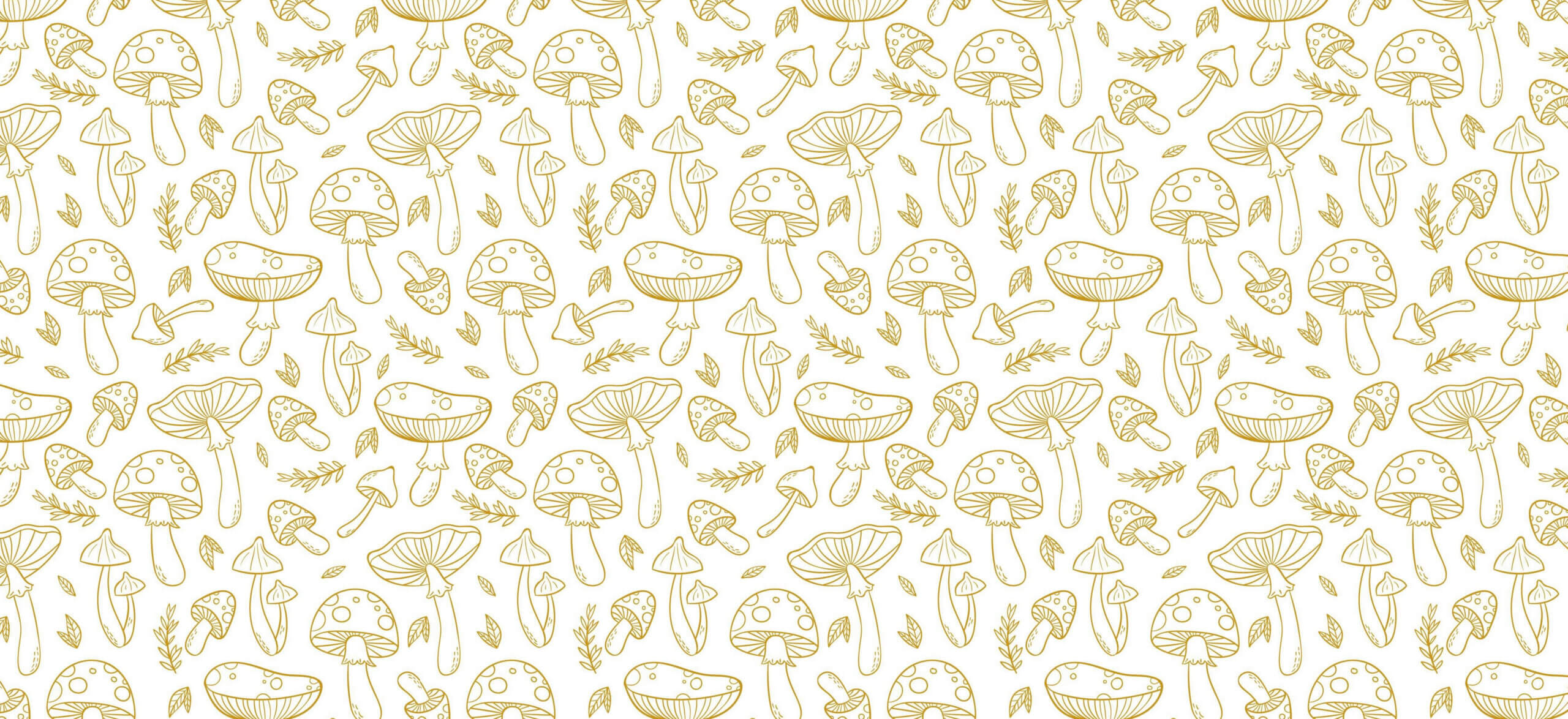 Emballages pour champignons
