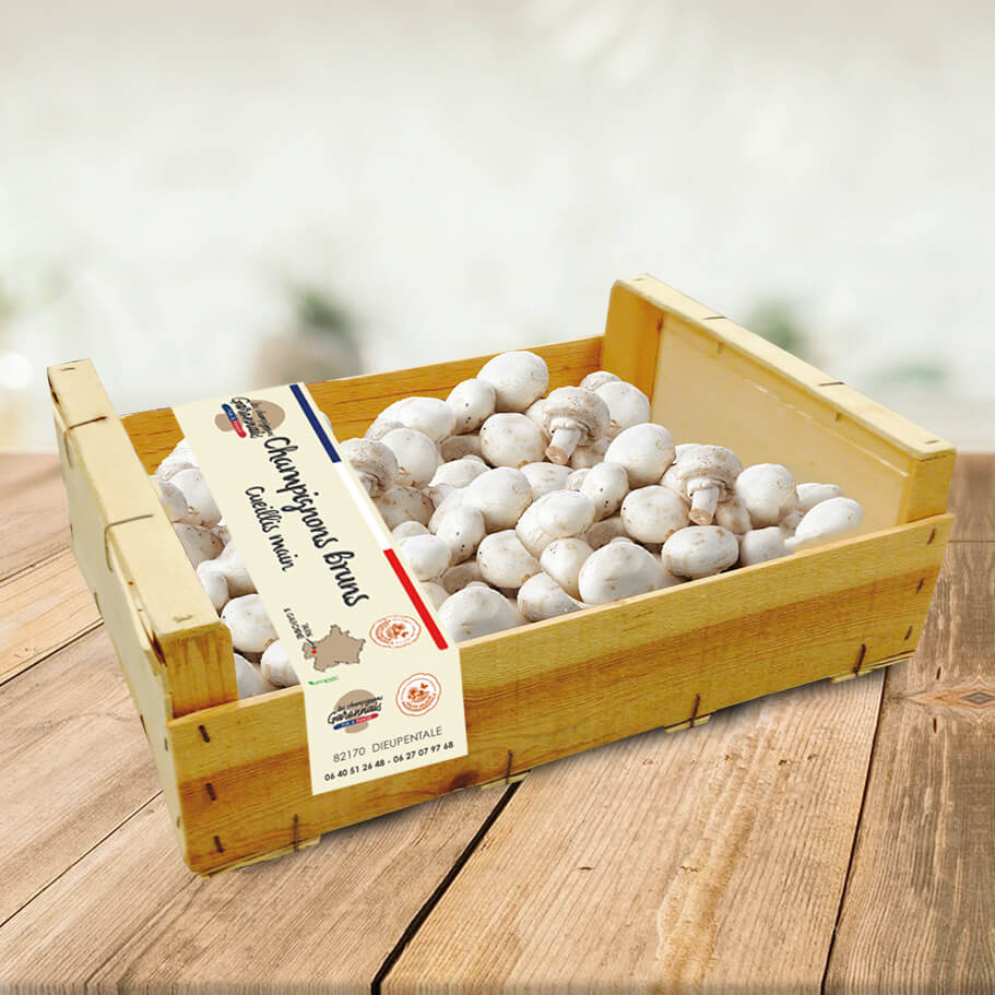 Bande personnalisé pour caisse de champignon