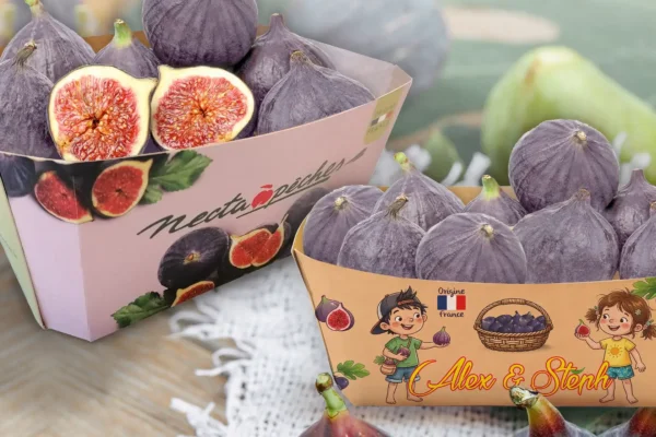 figues-carre figues-carre